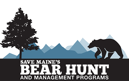 maine_bear_logo_final