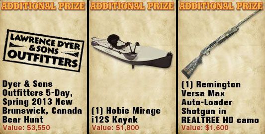 Additional Prizes