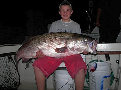 Success - A huge stripped bass