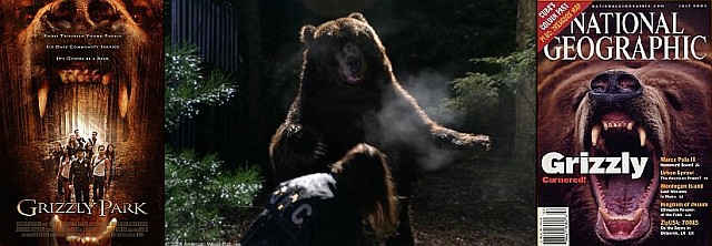 Brody the bear stared in Grizzly Park