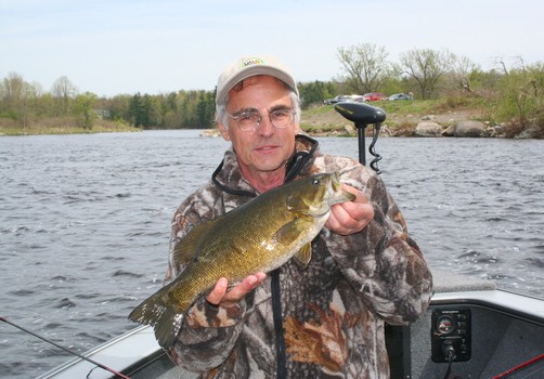 Don Meissner