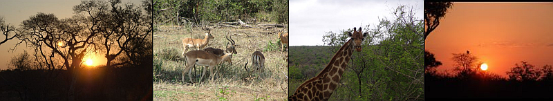 beautiful african landscapes