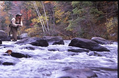 Fishing a local stream
