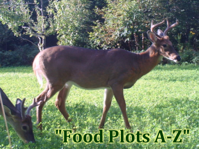 Deer food plots