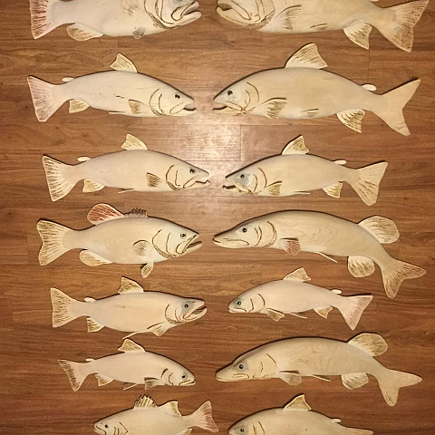 wall of fish