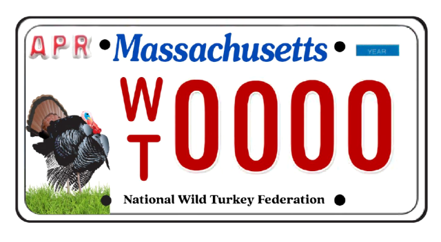 Turkey License Plate