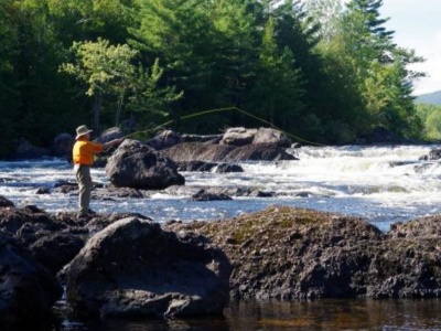 Western Mass Fly Fishermen